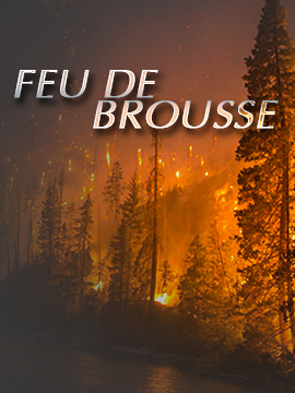 Feu De Brousse